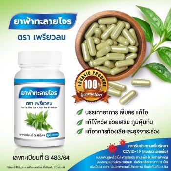 ยาฟ้าทะลายโจร ตราเพรียวลม