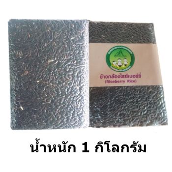 ข้าวกล้องไรซ์เบอรี่ Riceberry Rice